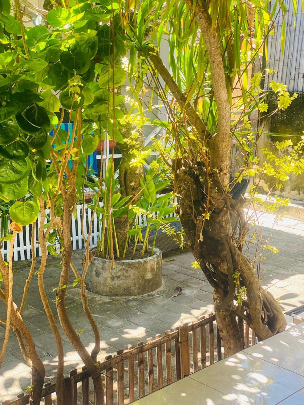Tarci Bungalows Lembongan Bagian luar foto